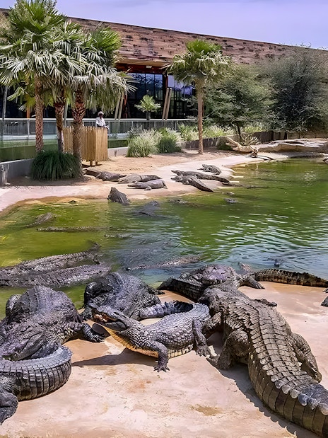 Crocodile Park
