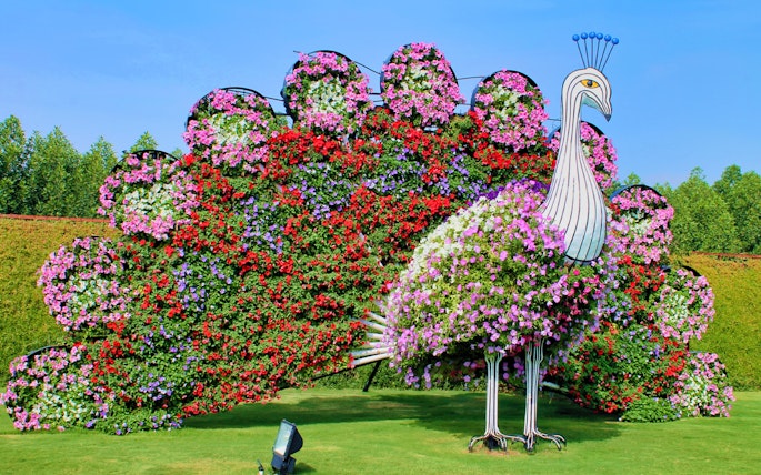 Miracle Garden